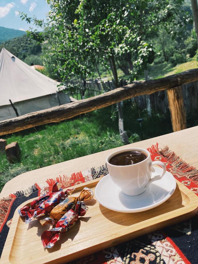 Hovek Guest House Dilidzjan Buitenkant foto