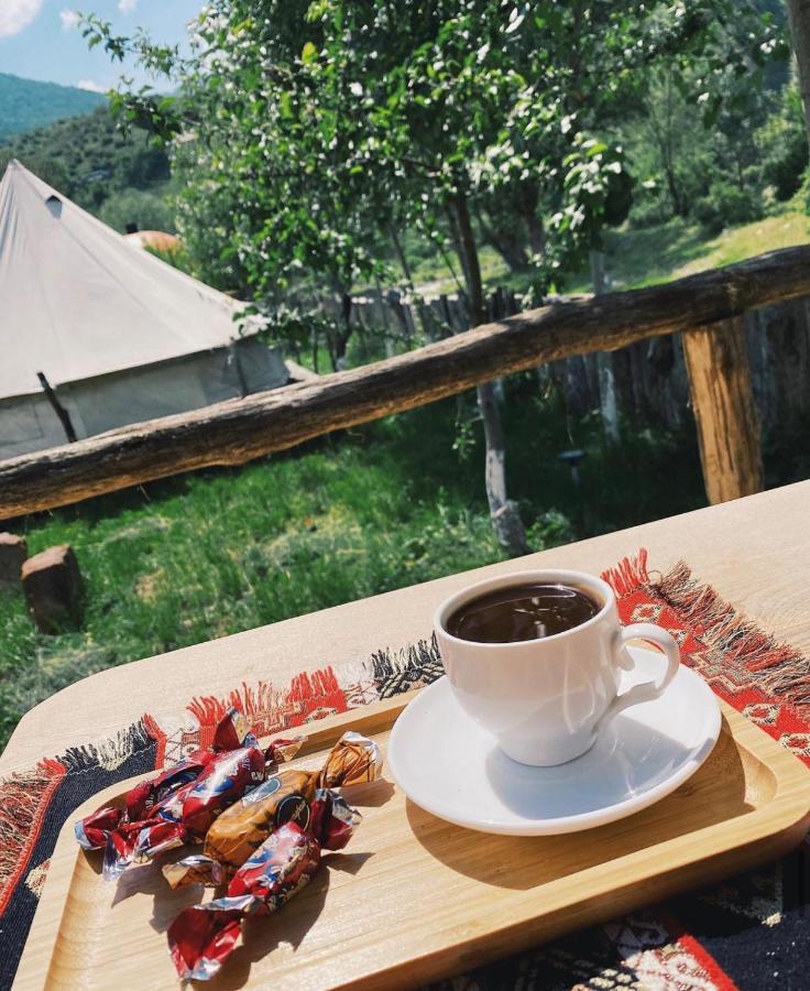 Hovek Guest House Dilidzjan Buitenkant foto